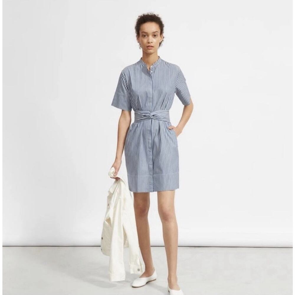 Everlane Blue and White Striped Mini Dress